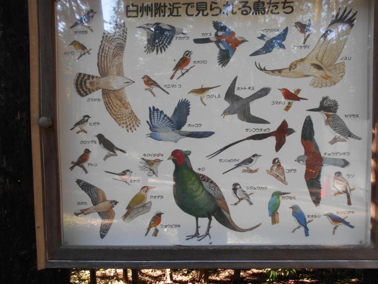 Southern Alps Kaikomagatake Foot Of The Kaikoma 호쿠토 외부 사진